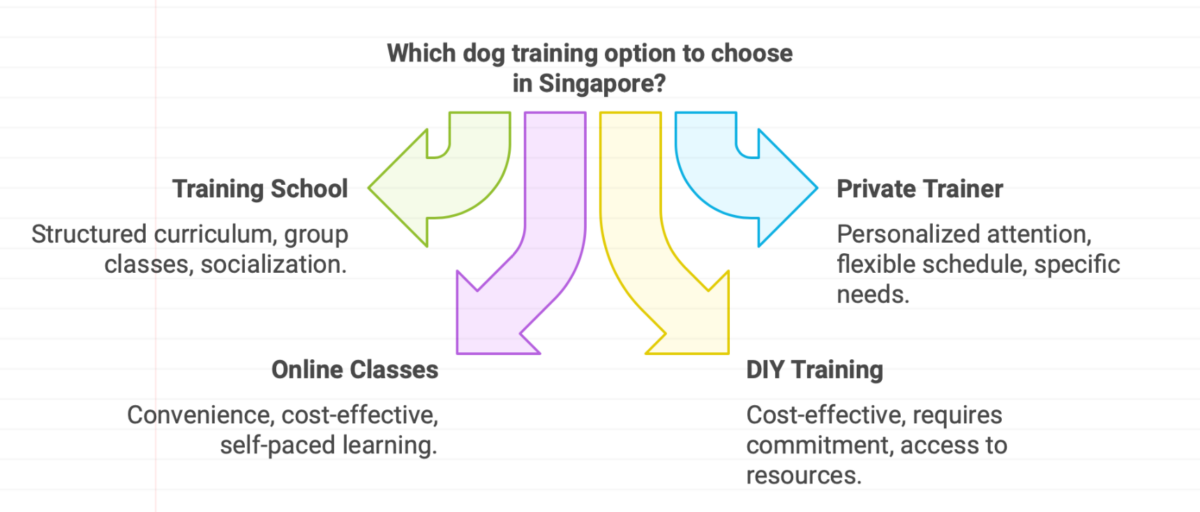 Dog Training Near Me in Singapore